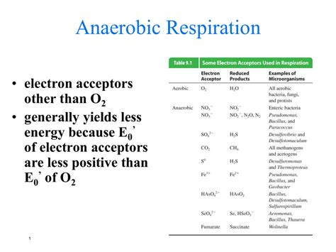 final electron acceptor anaerobic respiration.